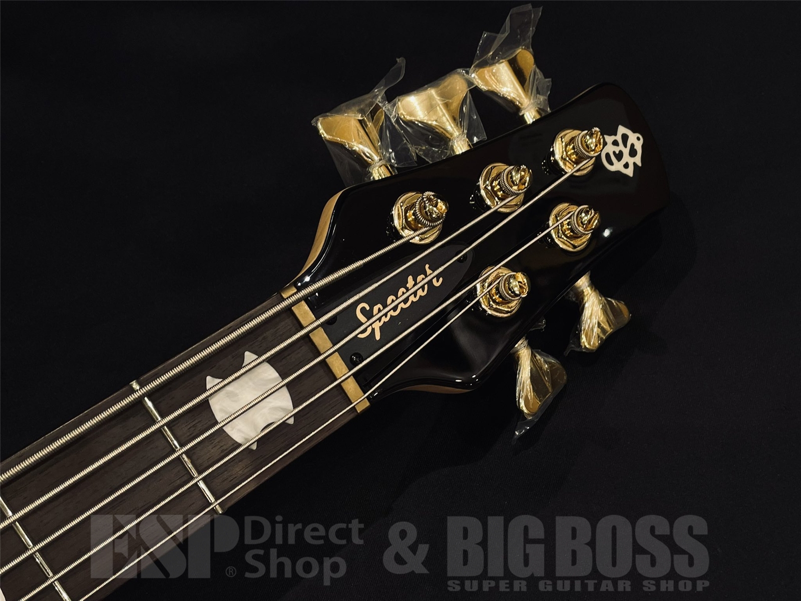 【即納可能】Spector(スペクター）NS Icon Bolt-On 5 / Black Cherry Gloss 京都店 - 6