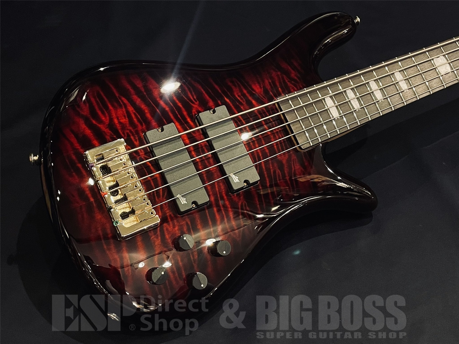 【即納可能】Spector(スペクター）NS Icon Bolt-On 5 / Black Cherry Gloss 京都店 - 2