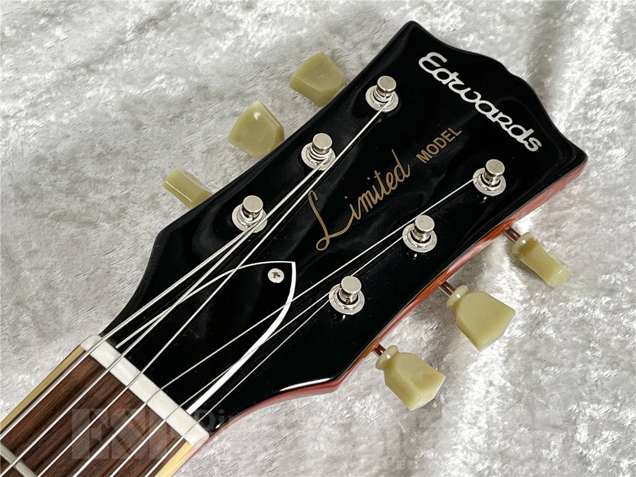 【即納可能】EDWARDS(エドワーズ) E-LP-STD (Vintage Honey Burst) お茶の水駅前店・別館 - 6
