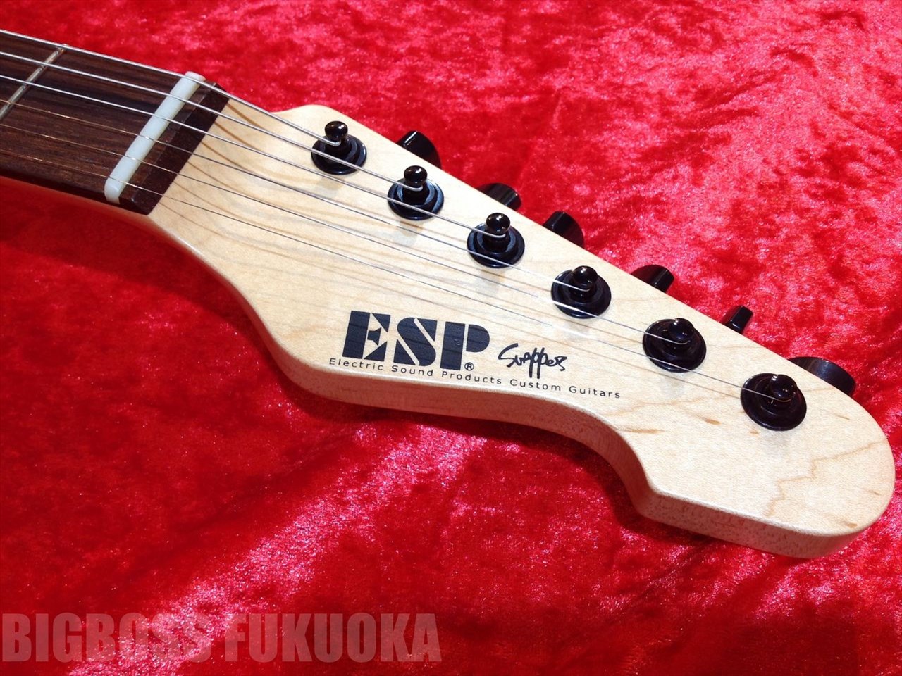 【即納可能】ESP SNAPPER-CTM/R Buckeye Burl (Natural) 福岡店