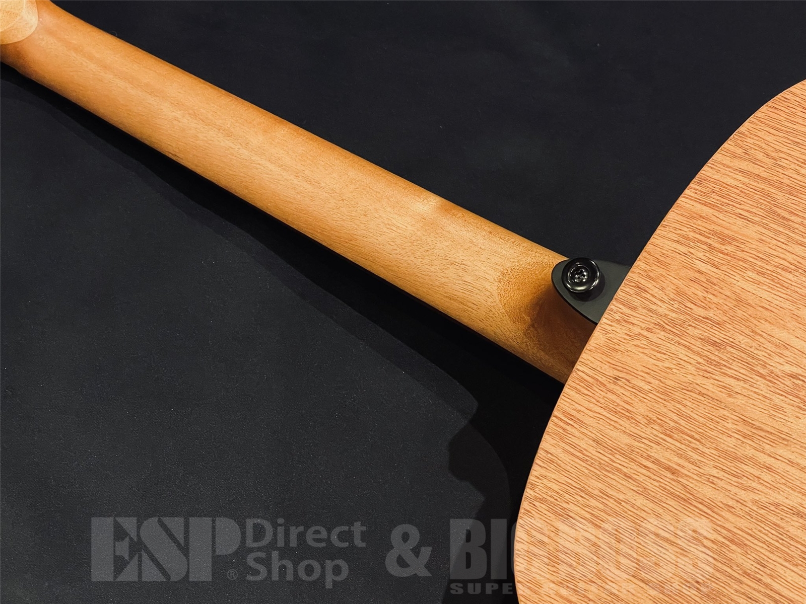 【即納可能】LAG Guitars (ラグギターズ) T70A / Natural 京都店 - 10