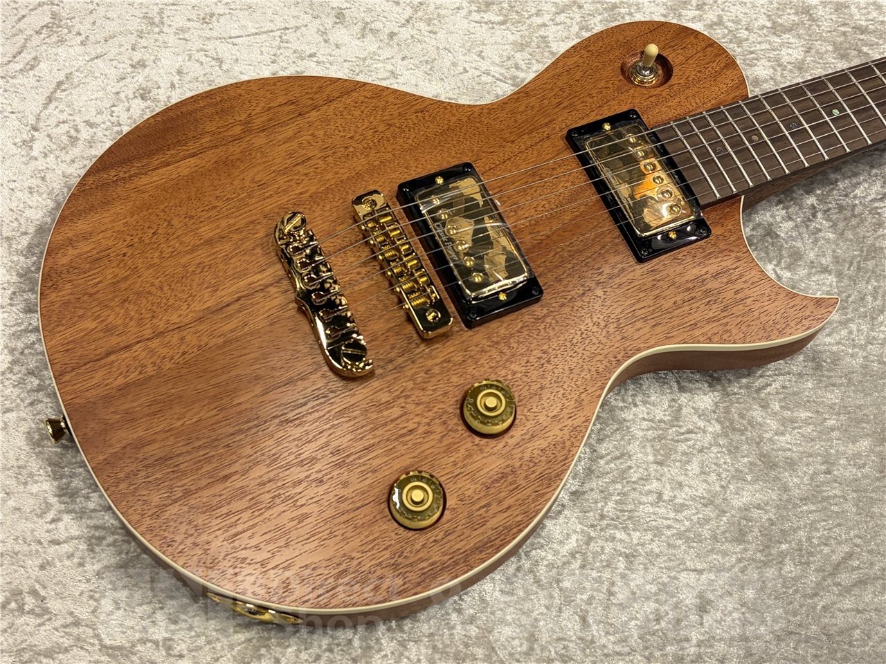 【即納可能】Aria Pro II（アリアプロツー）PE-600MH（Stained Brown）　名古屋店 - 2