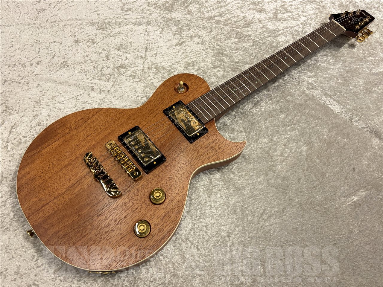 【即納可能】Aria Pro II（アリアプロツー）PE-600MH（Stained Brown）　名古屋店