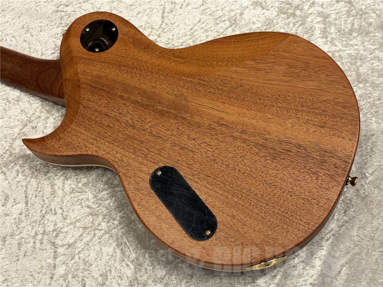 【即納可能】Aria Pro II（アリアプロツー）PE-600MH（Stained Brown）　名古屋店 - 8