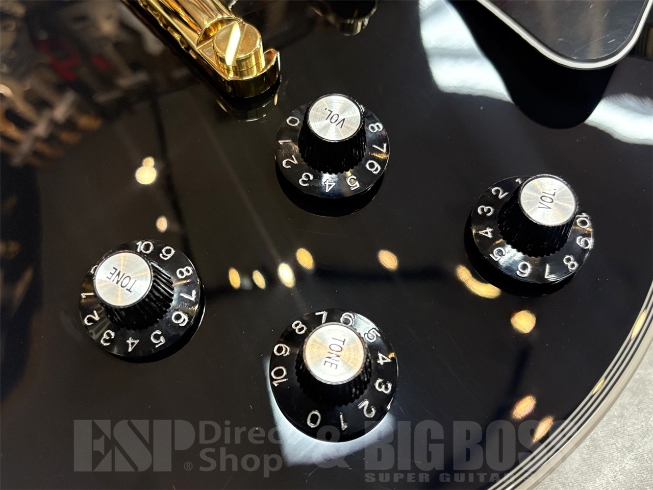 【即納可能】EDWARDS(エドワーズ)E-LP-CTM/BLACK GWS - 5