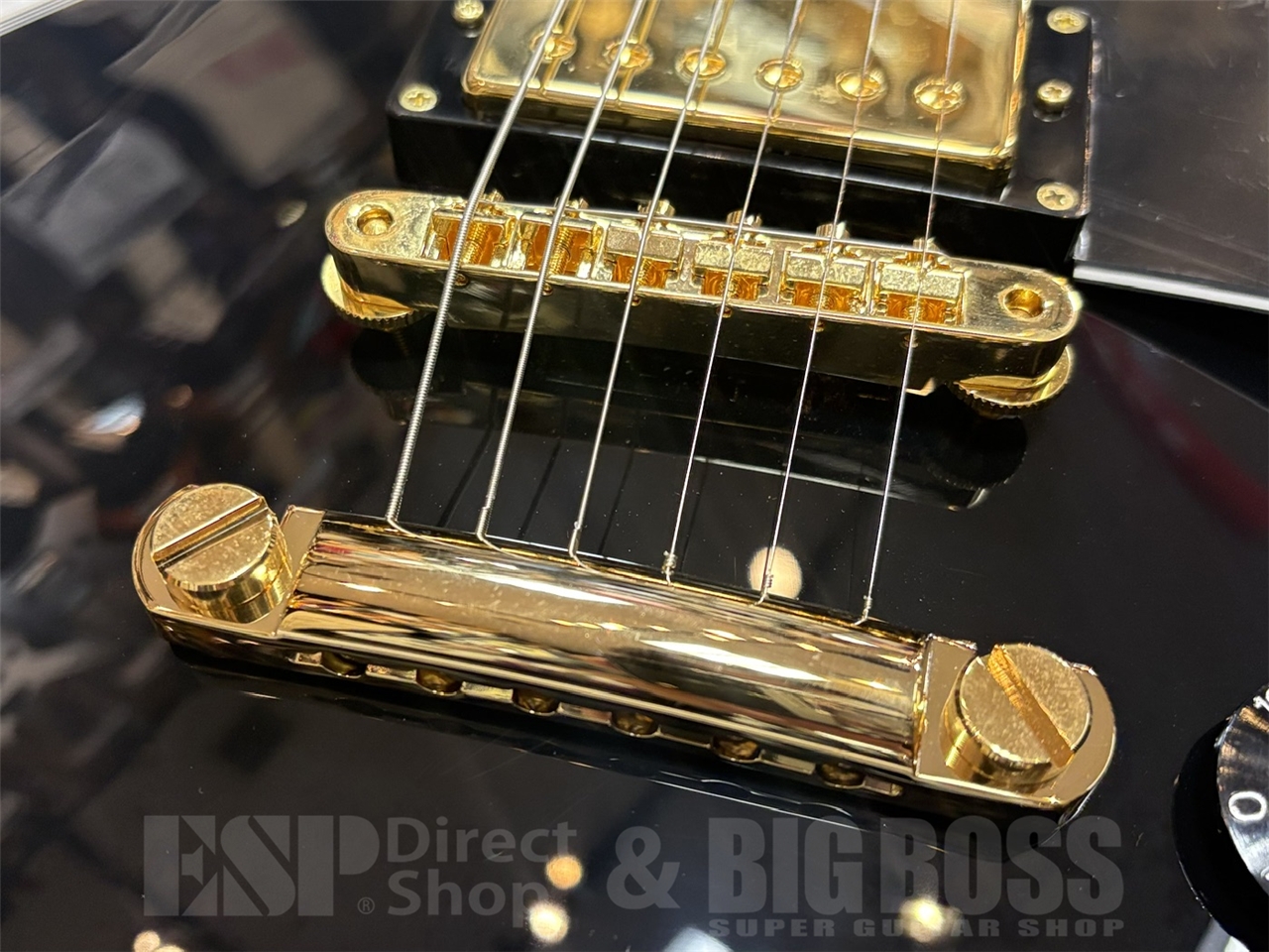 【即納可能】EDWARDS(エドワーズ)E-LP-CTM/BLACK GWS - 3