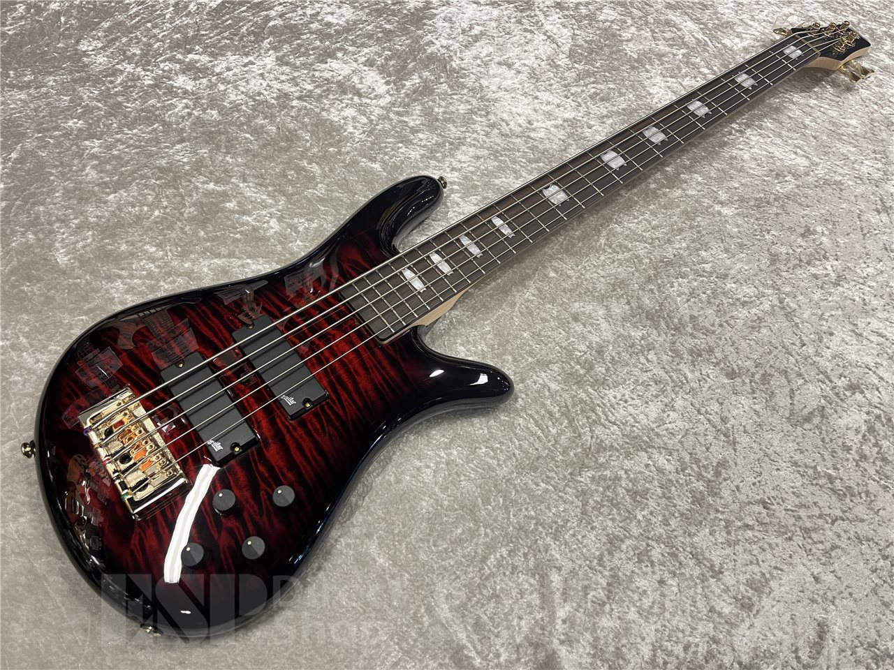 【即納可能】Spector（スペクター）Icon NS 5 Bolt-On 5（Black Cherry Gloss）　名古屋店