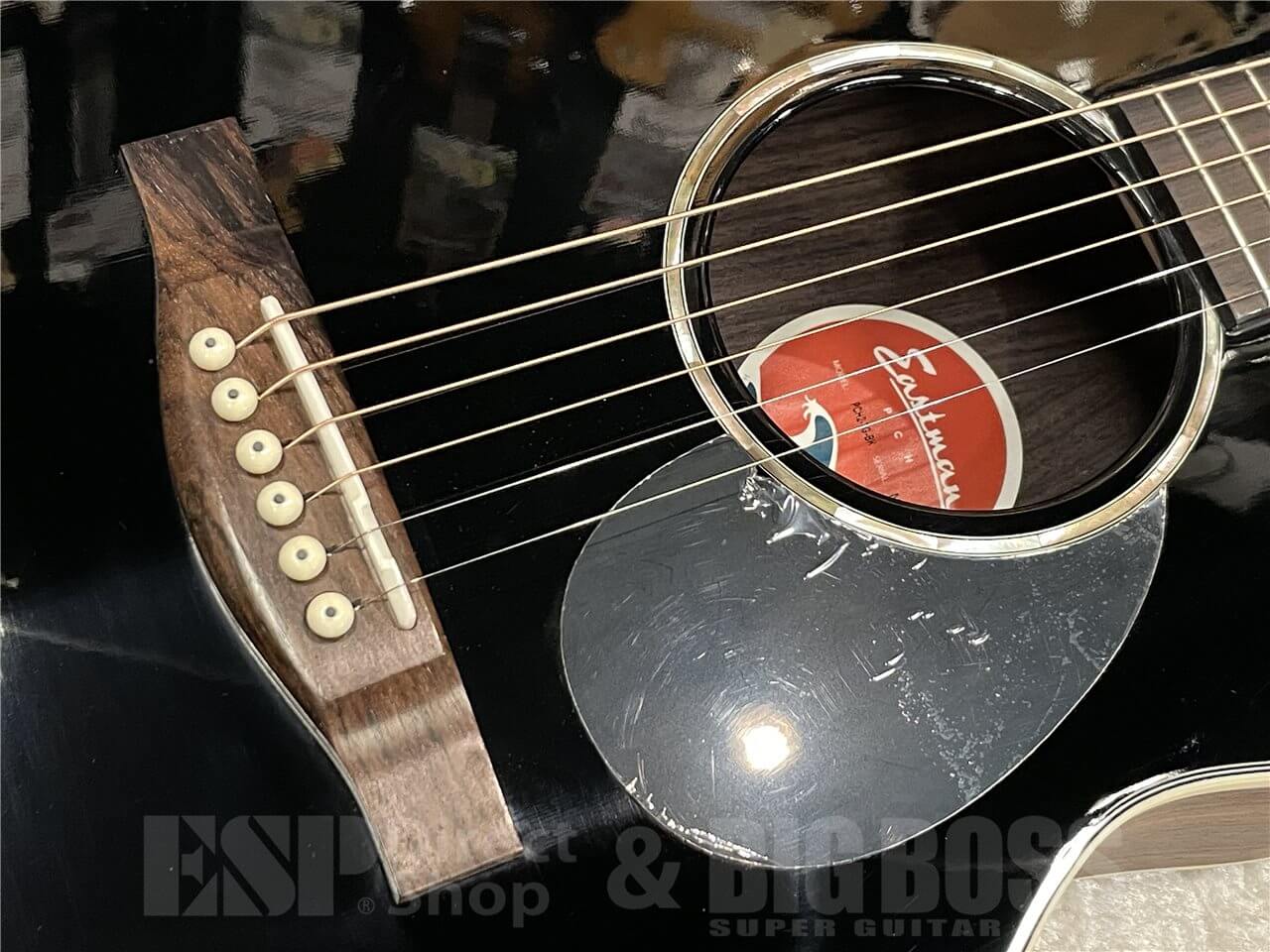 【即納可能】Eastman(イーストマン)PCH2-TG(Black) 名古屋店