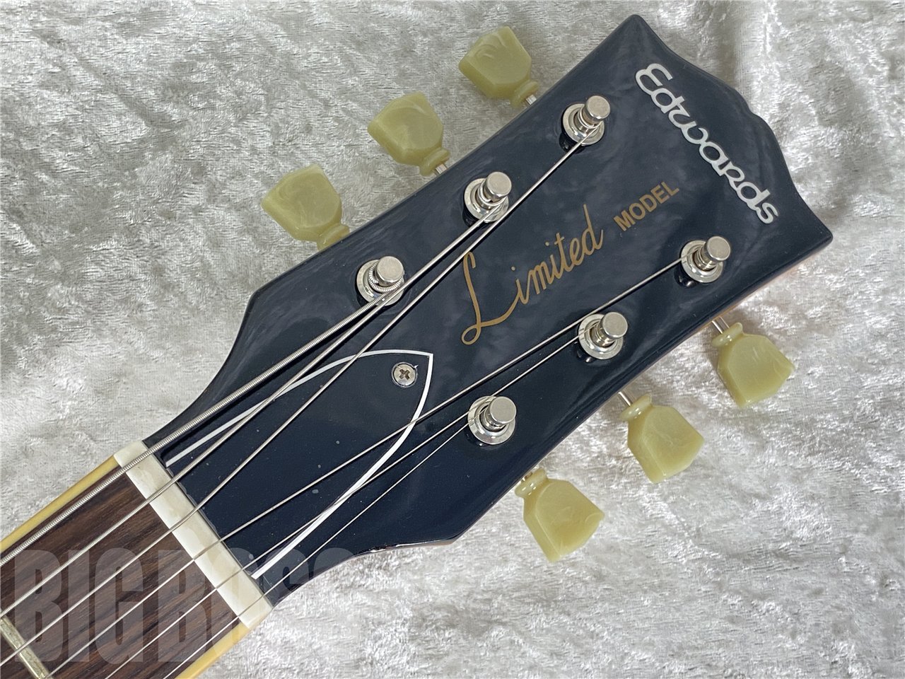【即納可能】EDWARDS(エドワーズ) E-LP-STD/P(GO) お茶の水駅前店(東京) - 5