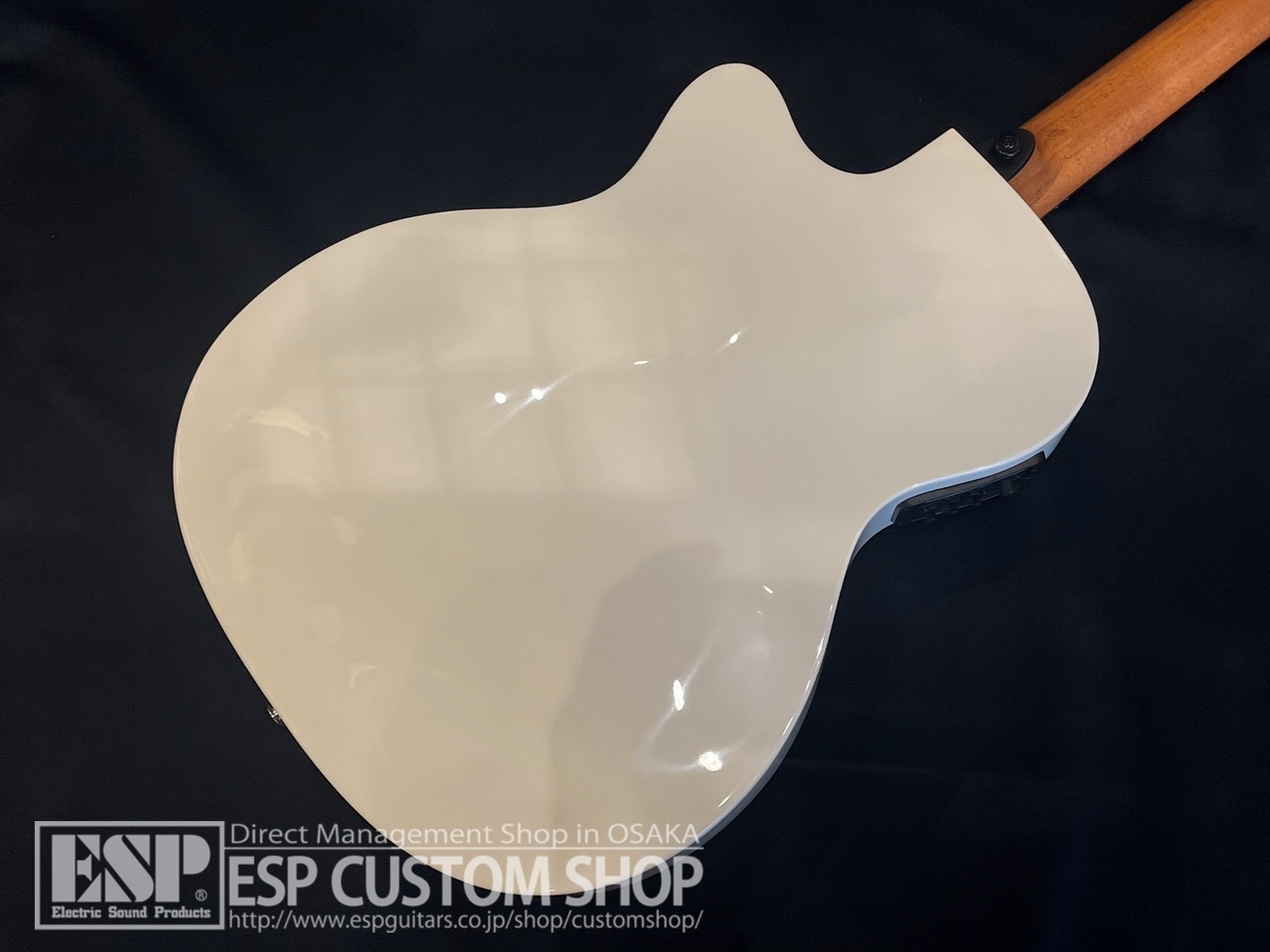 【即納可能】LAG Guitars(ラグギターズ) T118ASCE / IVO　大阪店 - 6