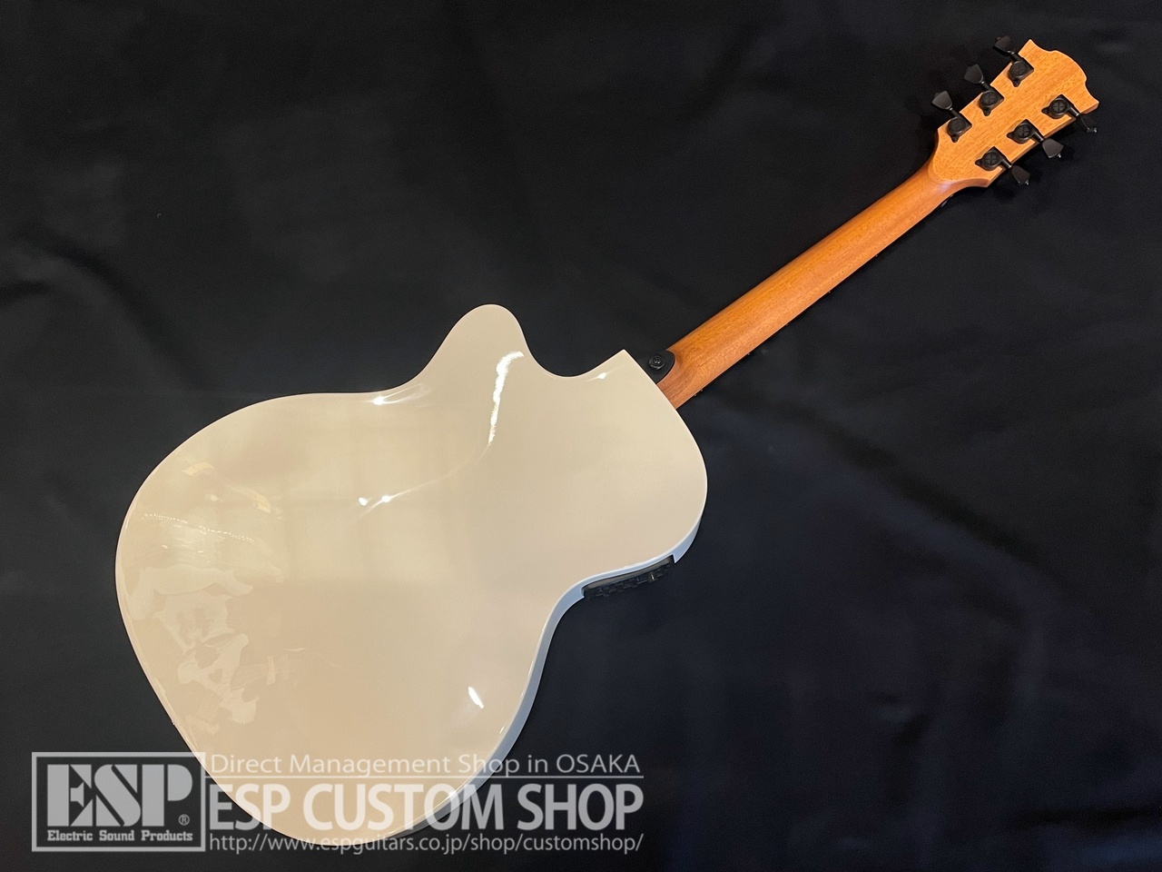 【即納可能】LAG Guitars(ラグギターズ) T118ASCE / IVO　大阪店 - 5