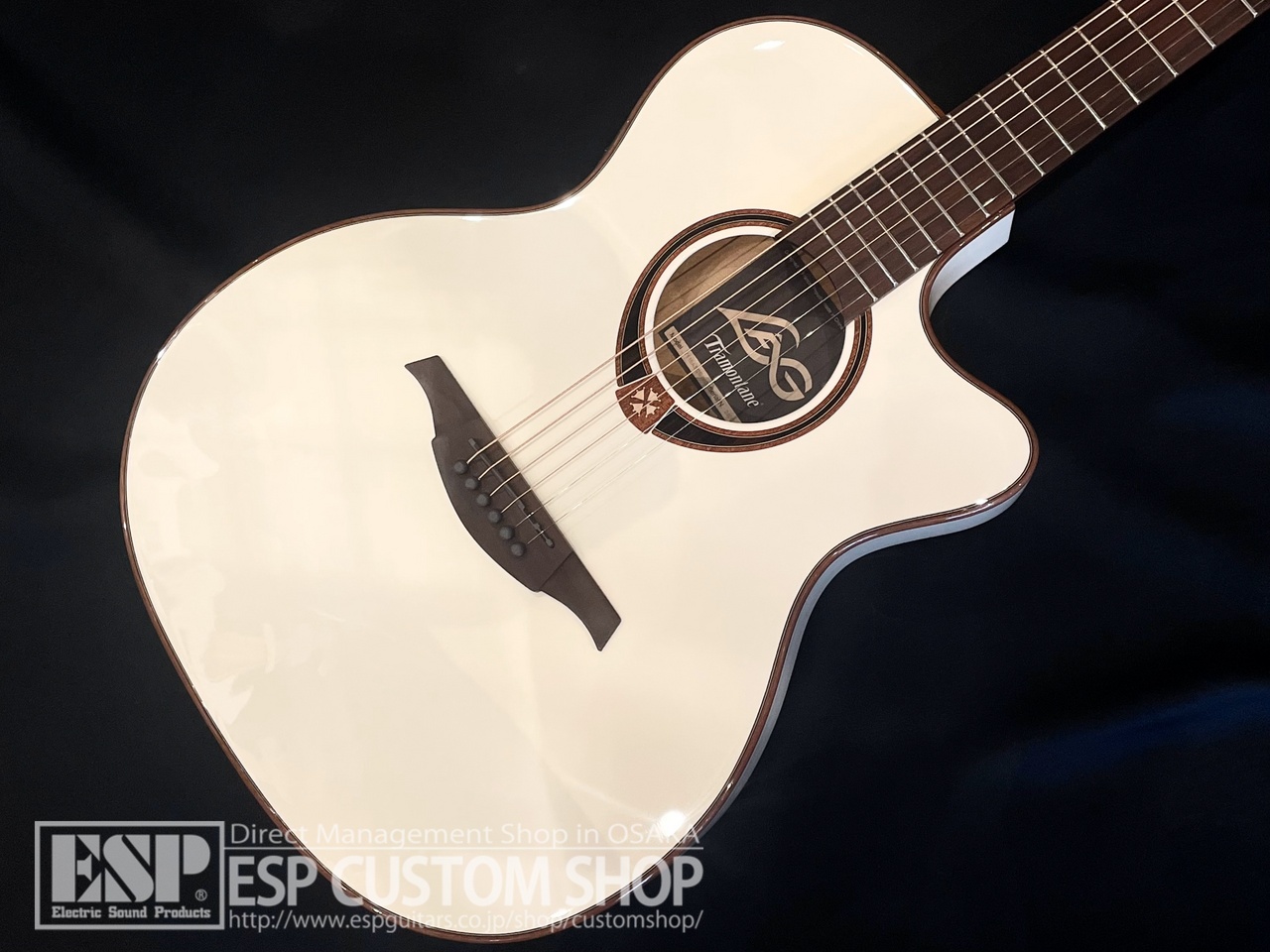 【即納可能】LAG Guitars(ラグギターズ) T118ASCE / IVO　大阪店 - 2