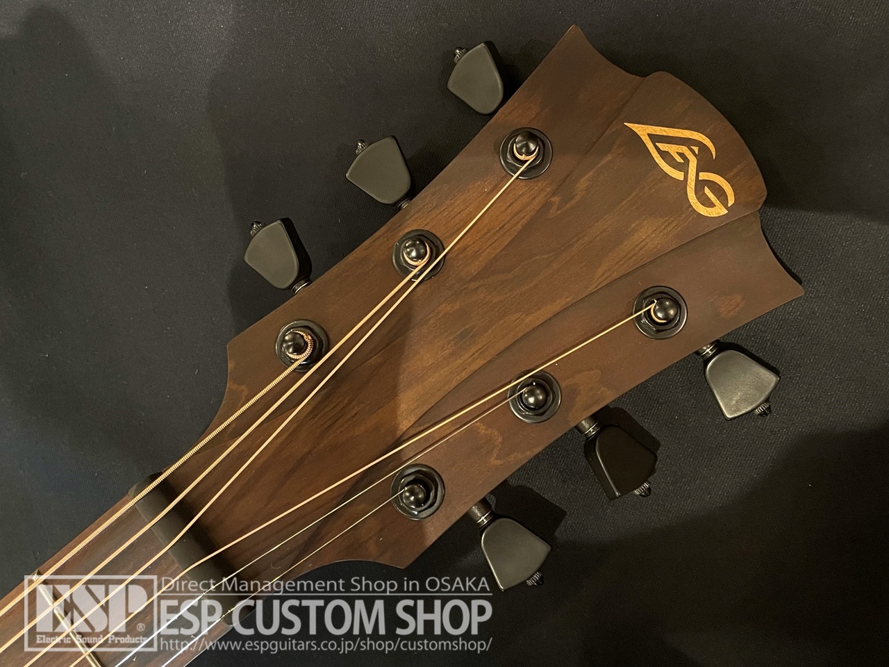 【即納可能】LAG Guitars(ラグギターズ) T118ASCE / IVO　大阪店 - 4