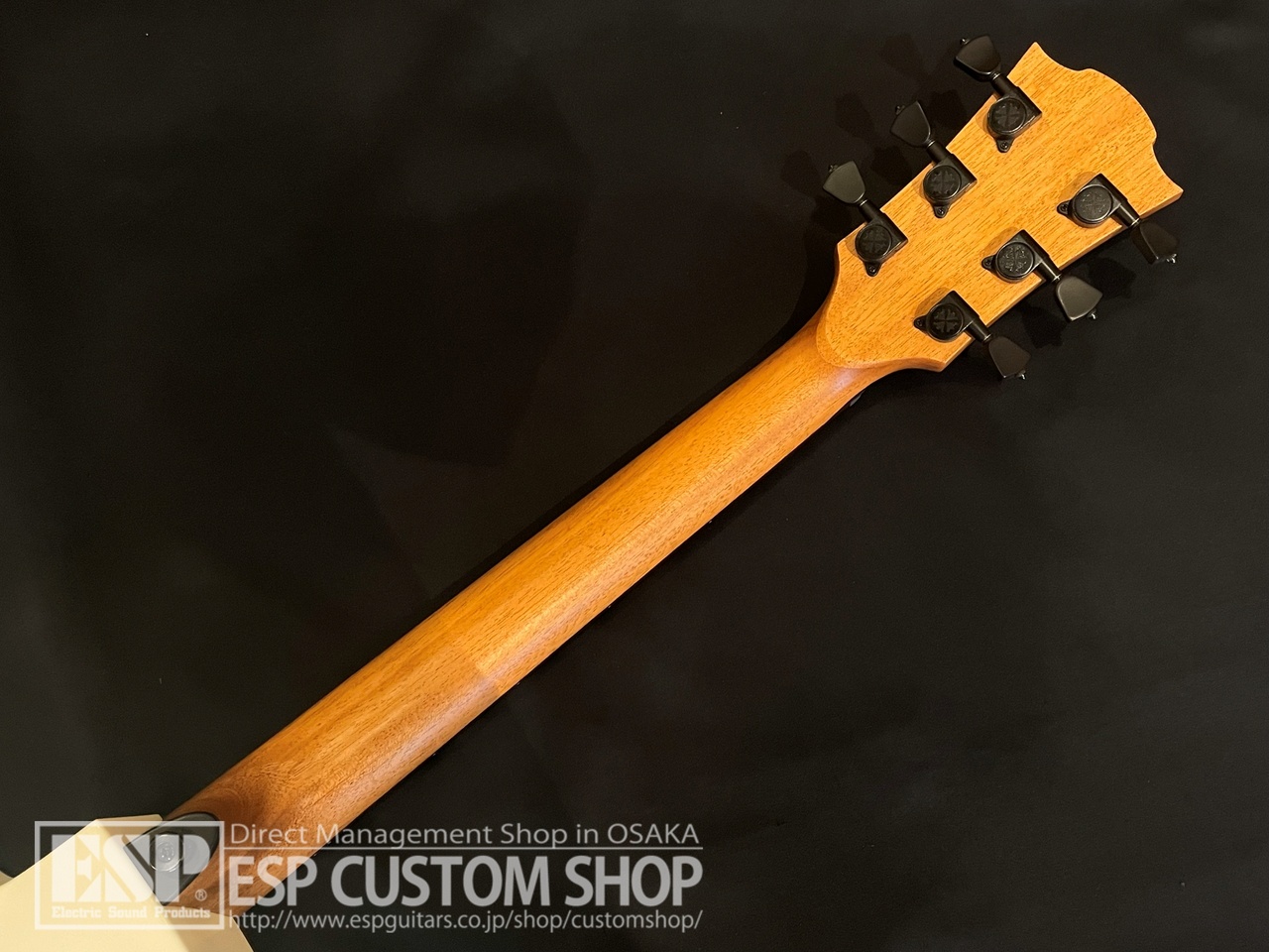 【即納可能】LAG Guitars(ラグギターズ) T118ASCE / IVO　大阪店 - 7
