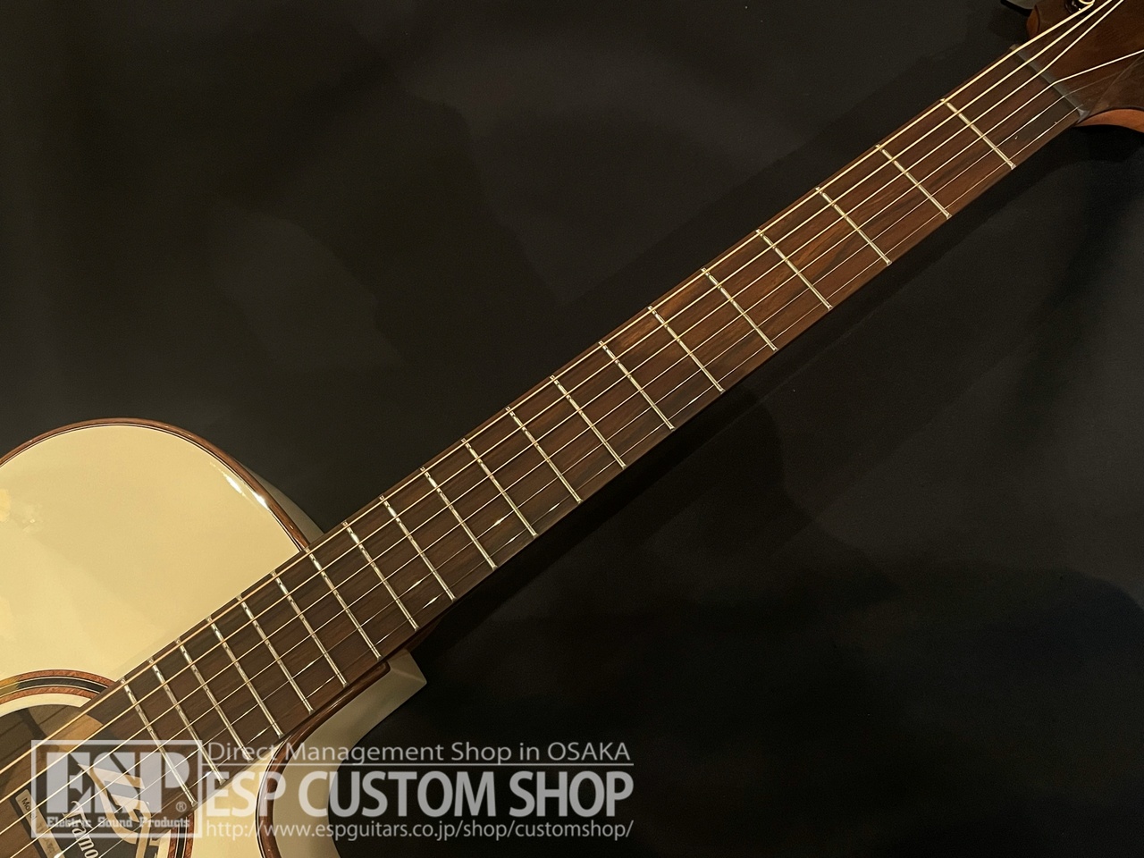 【即納可能】LAG Guitars(ラグギターズ) T118ASCE / IVO　大阪店 - 3