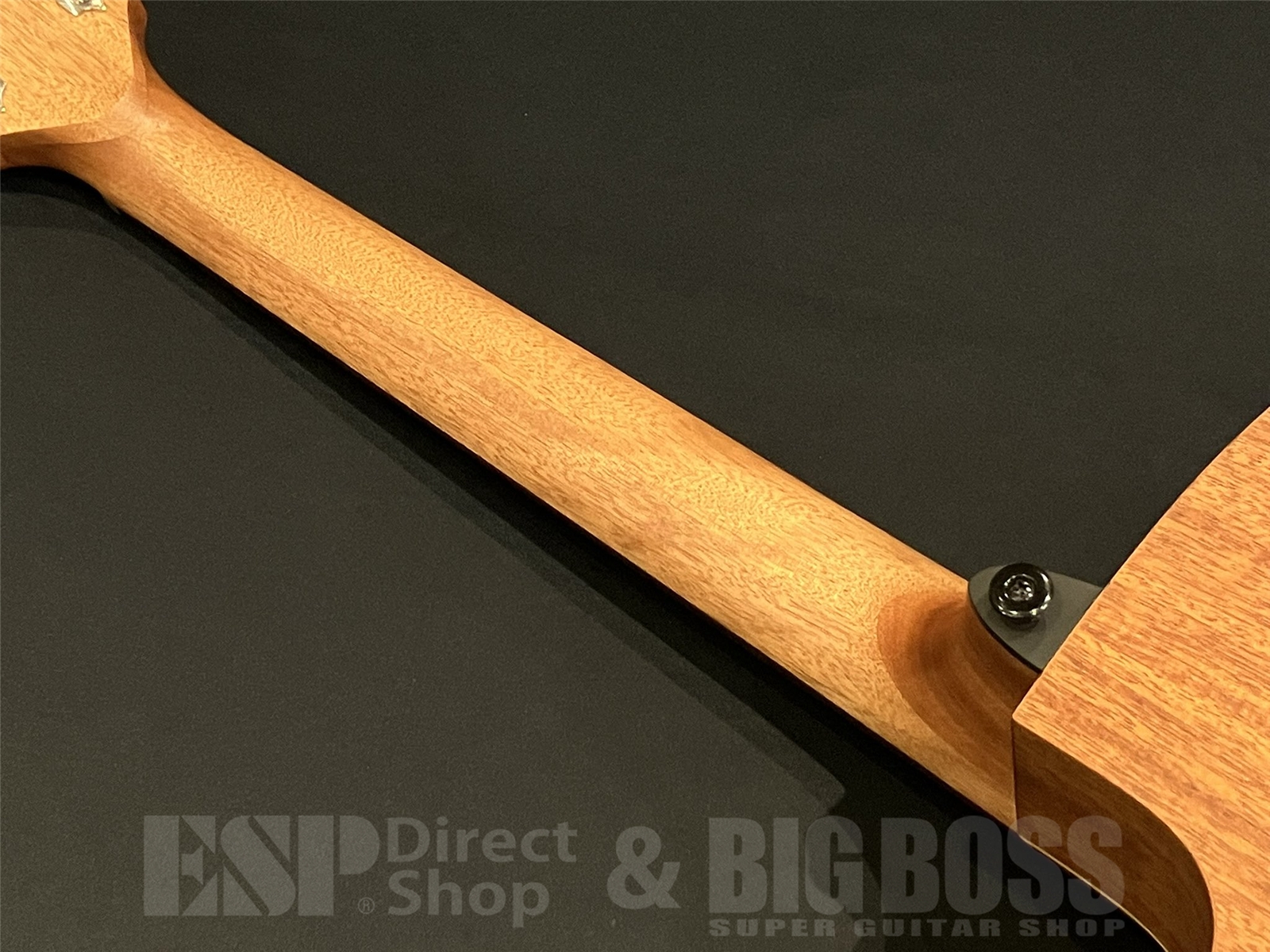 【即納可能】LAG Guitars (ラグギターズ) T70ACE / Natural 京都店 - 10
