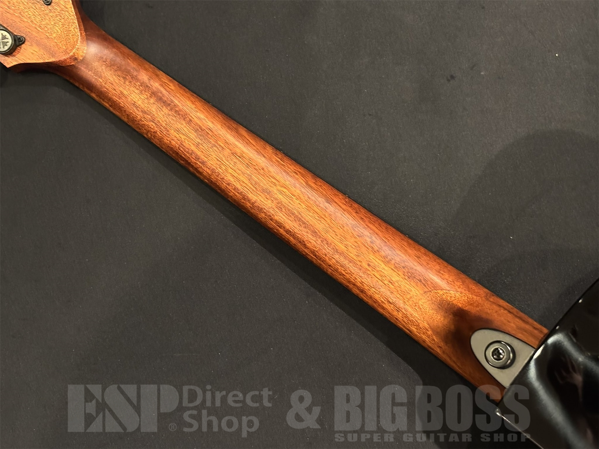 【即納可能】LAG Guitars(ラグギターズ) T118ASCE / BLACK 京都店