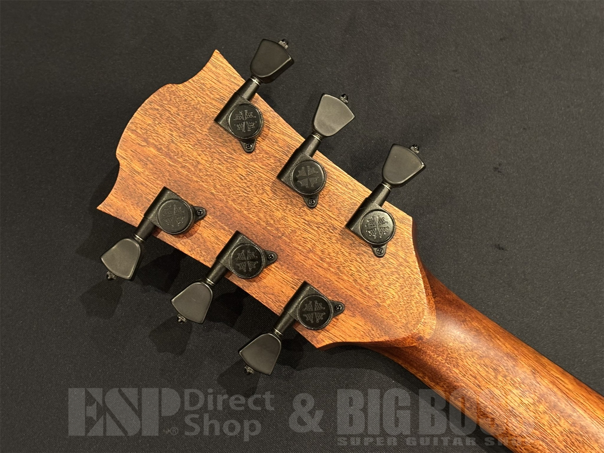 【即納可能】LAG Guitars(ラグギターズ) T118ASCE / BLACK 京都店