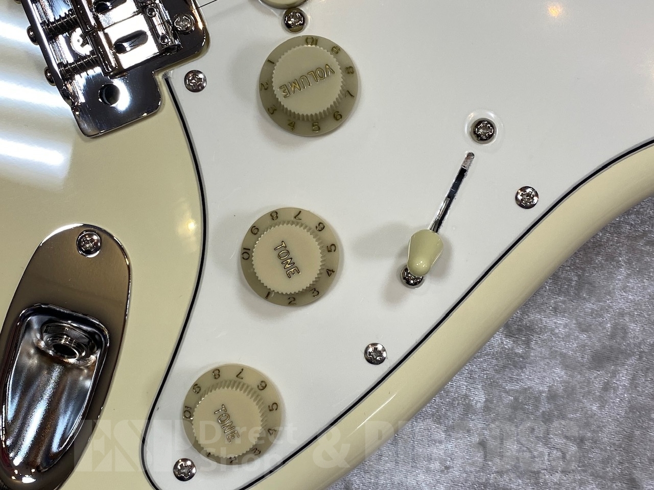 【即納可能】EDWARDS(エドワーズ) E-ST-ALR / VW GWS