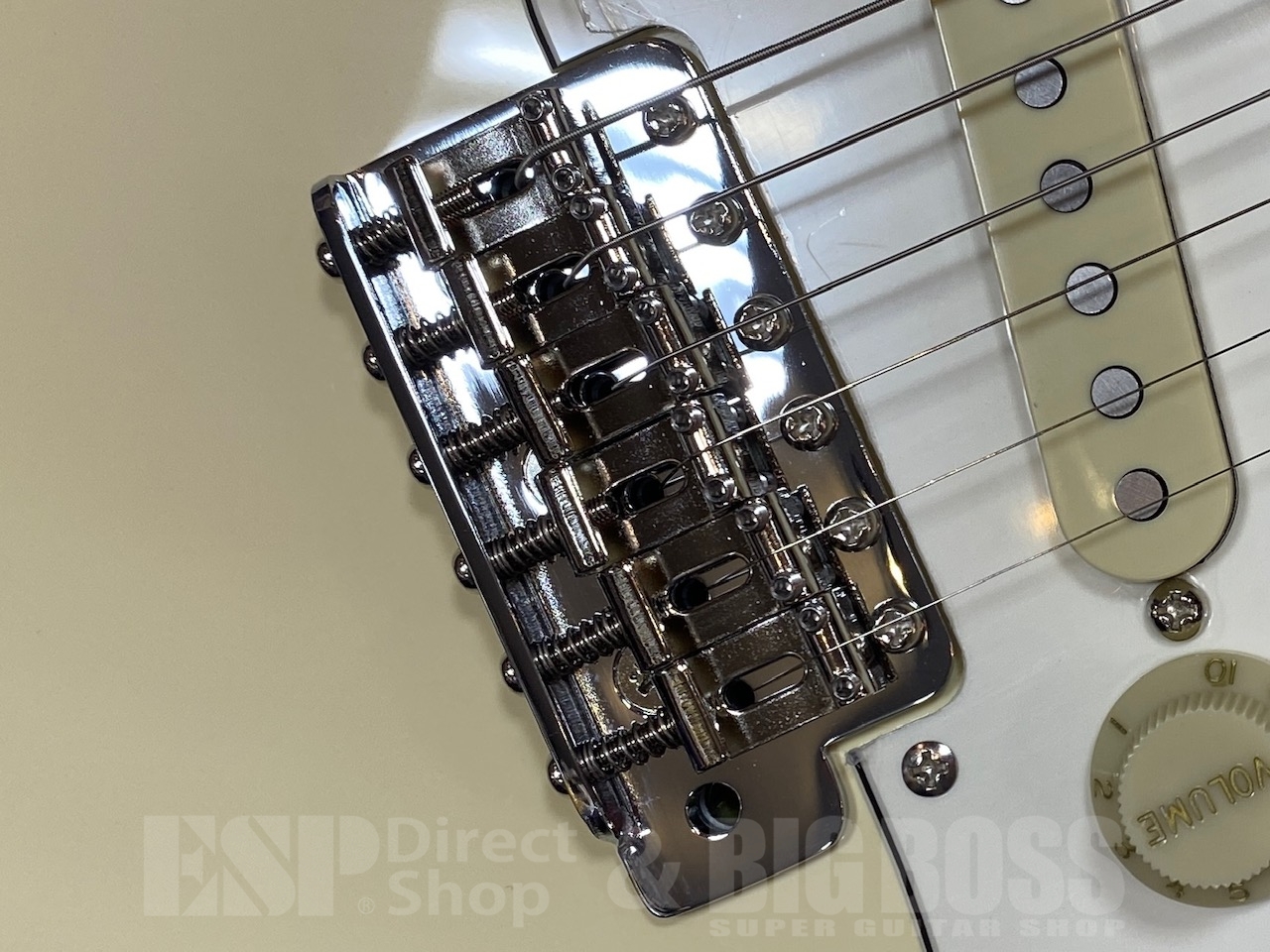 【即納可能】EDWARDS(エドワーズ) E-ST-ALR / VW GWS