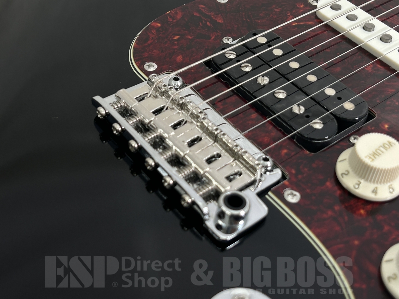 【即納可能】SAITO GUITARS(サイトウギターズ) S-622CS Heritage (Black/Tortoise Shell) お茶の水駅前店(東京)