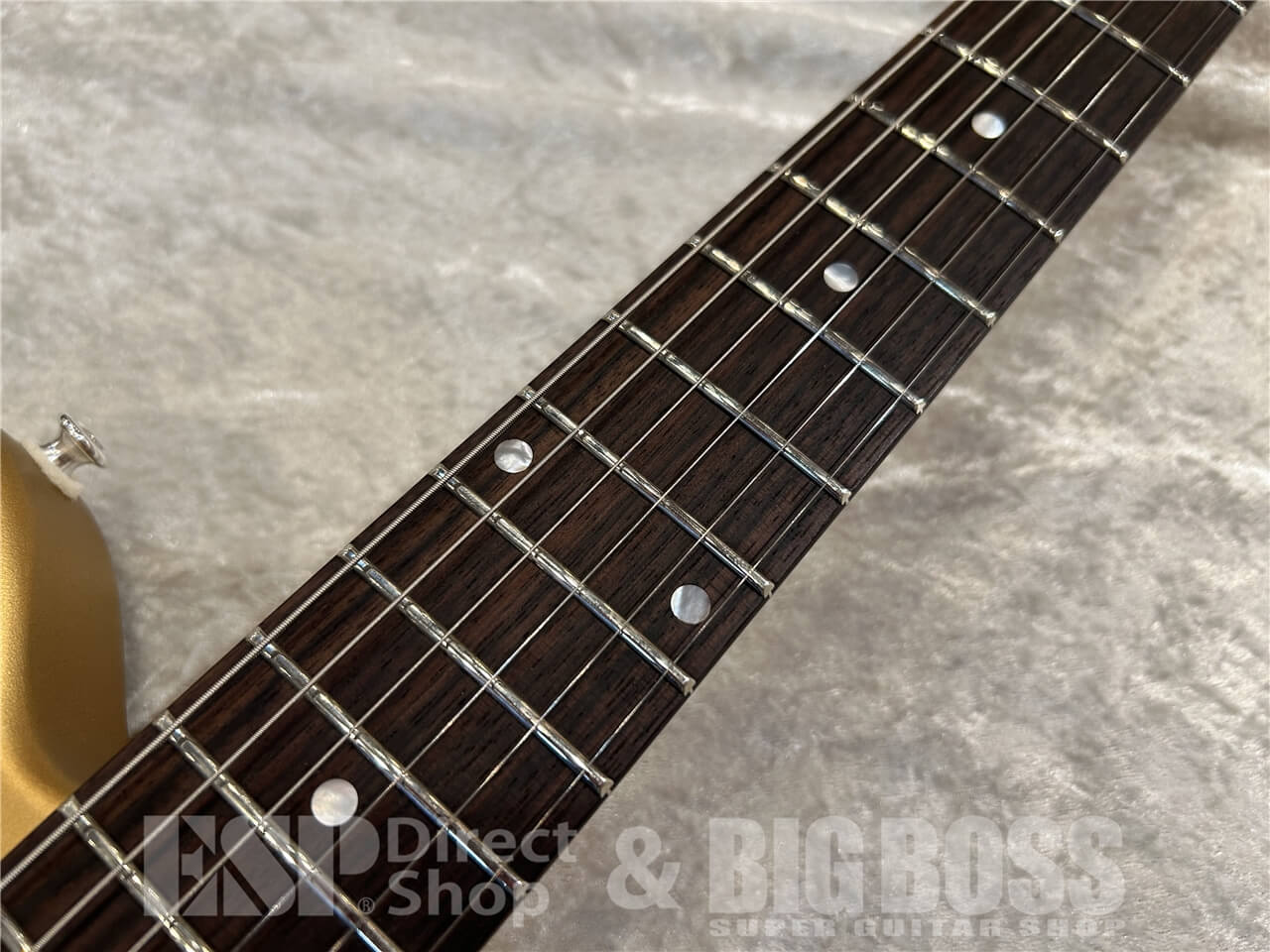 【即納可能】Eastman（イーストマン）Fullertone Offset'62 / Gold 仙台店 - 4