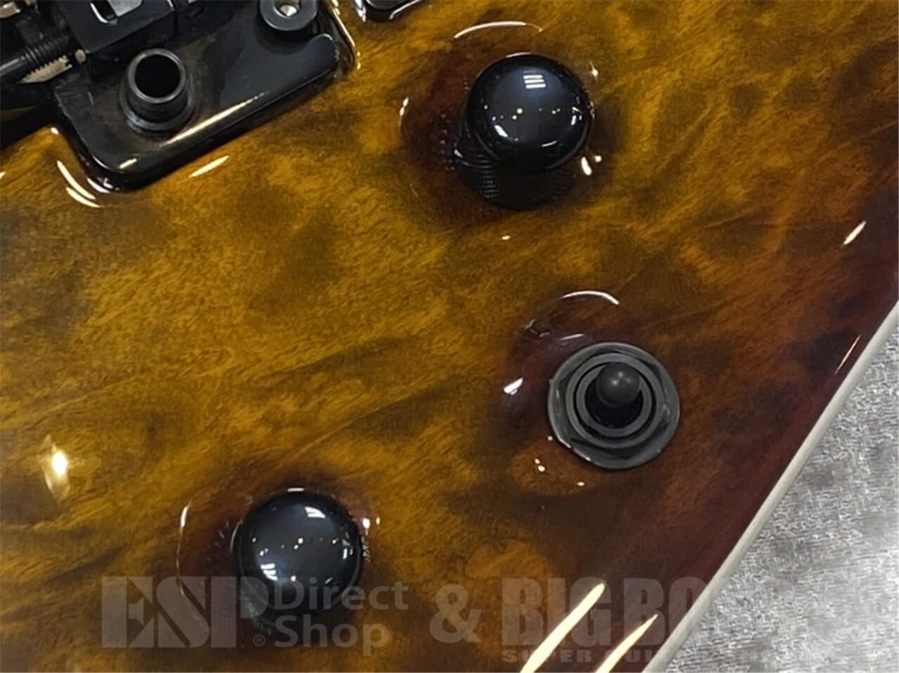 【即納可能】E-II(イーツー) HORIZON FR-II/Tiger Eye Sunburst GWS - 5