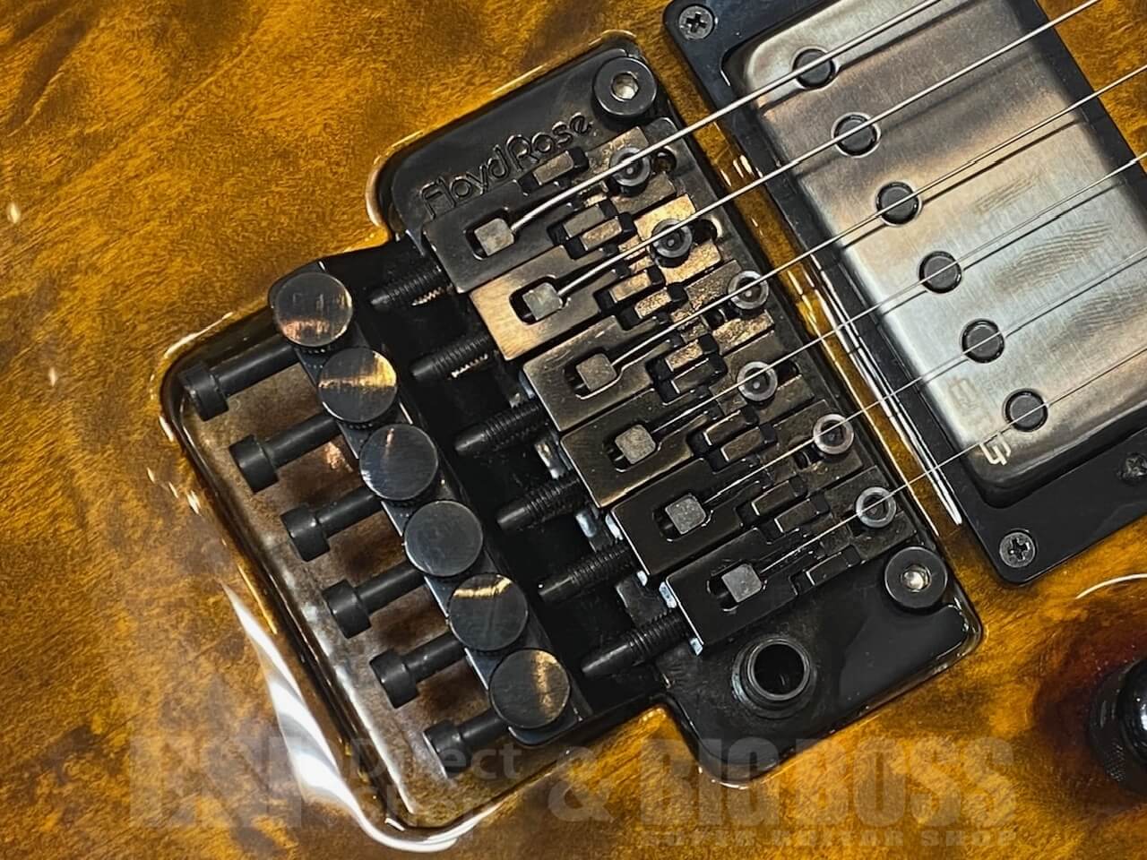 【即納可能】E-II(イーツー) HORIZON FR-II/Tiger Eye Sunburst GWS - 3