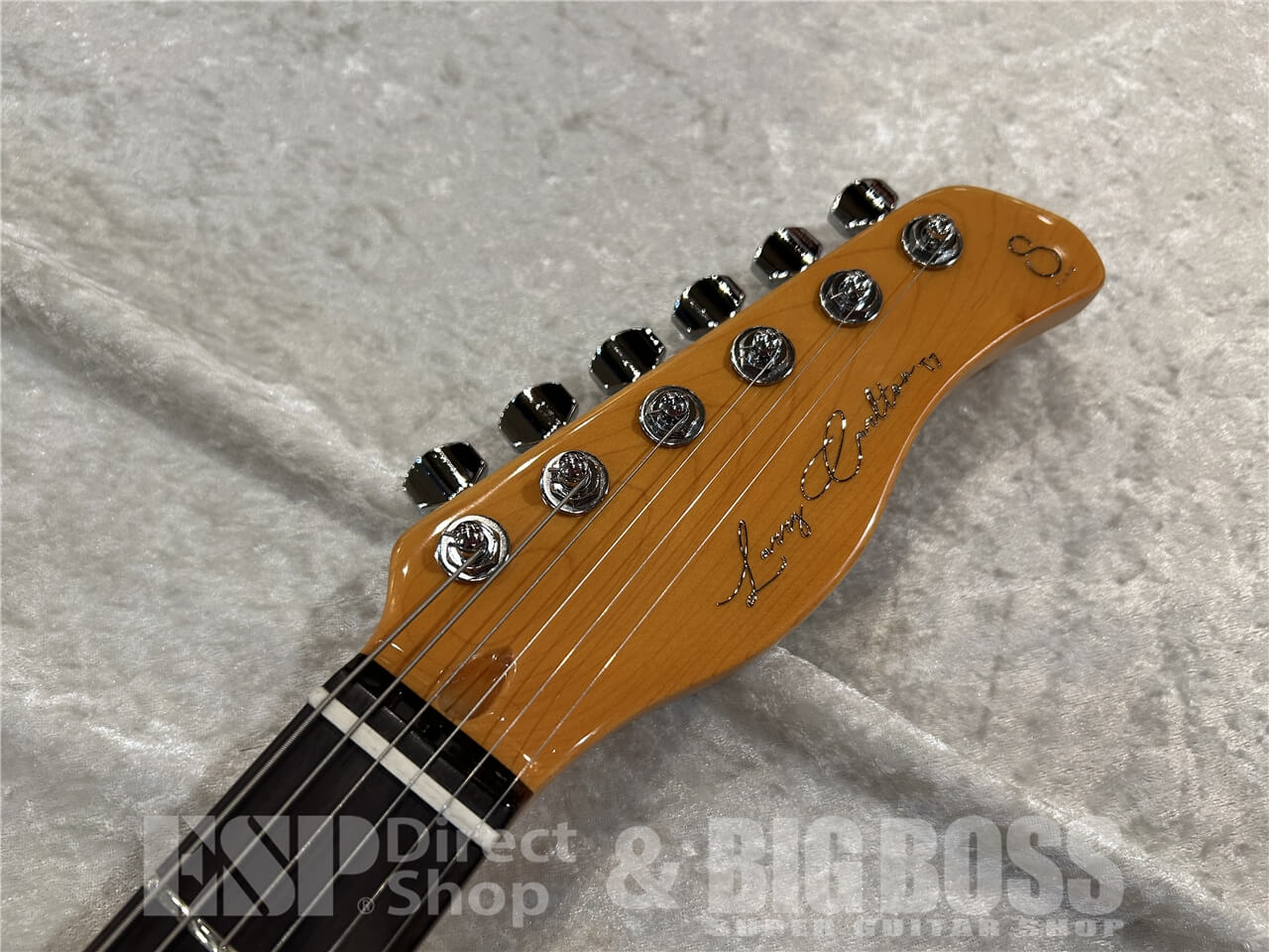 【即納可能】Sire(サイアー)T7TM / See Through Red 仙台店 - 5