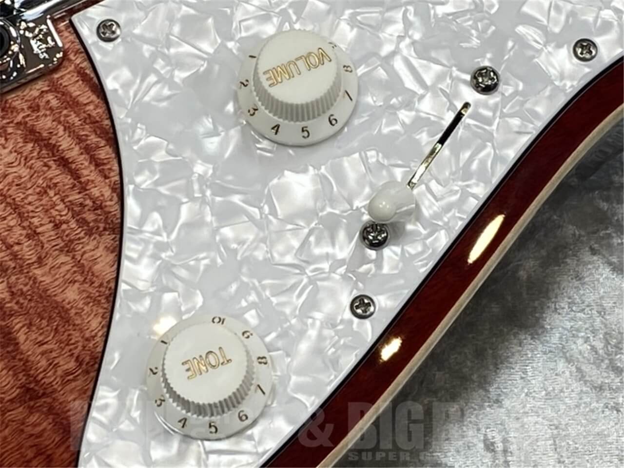 【即納可能】Suhr(正規輸入品) JE-Line Standard Plus MH/Faded Trans Wine Red Burst/Pau Ferro GWS - 5