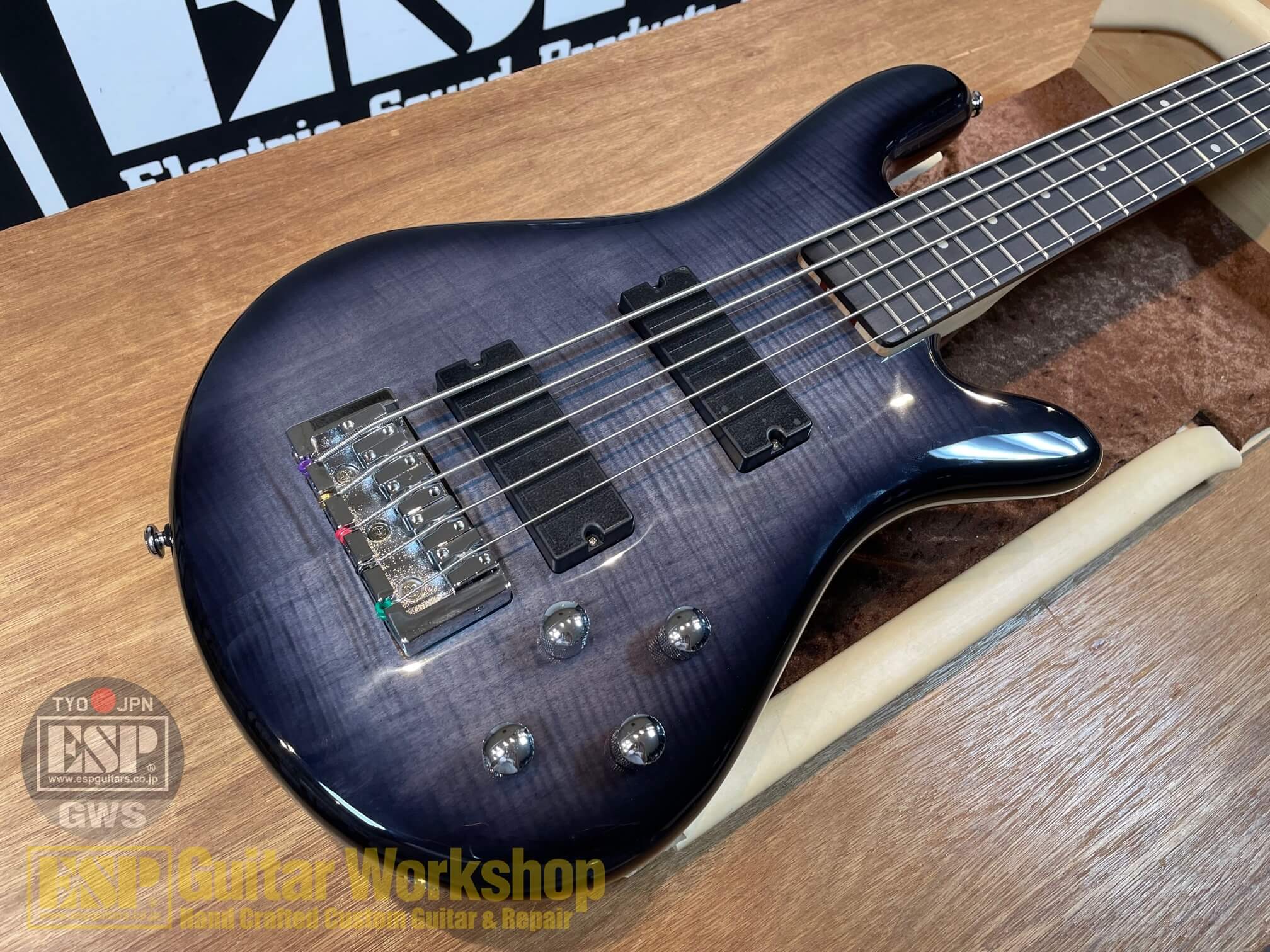 即納可能】Spector Legend 5 Standard/Black Stain Gloss GWS | 【ESP