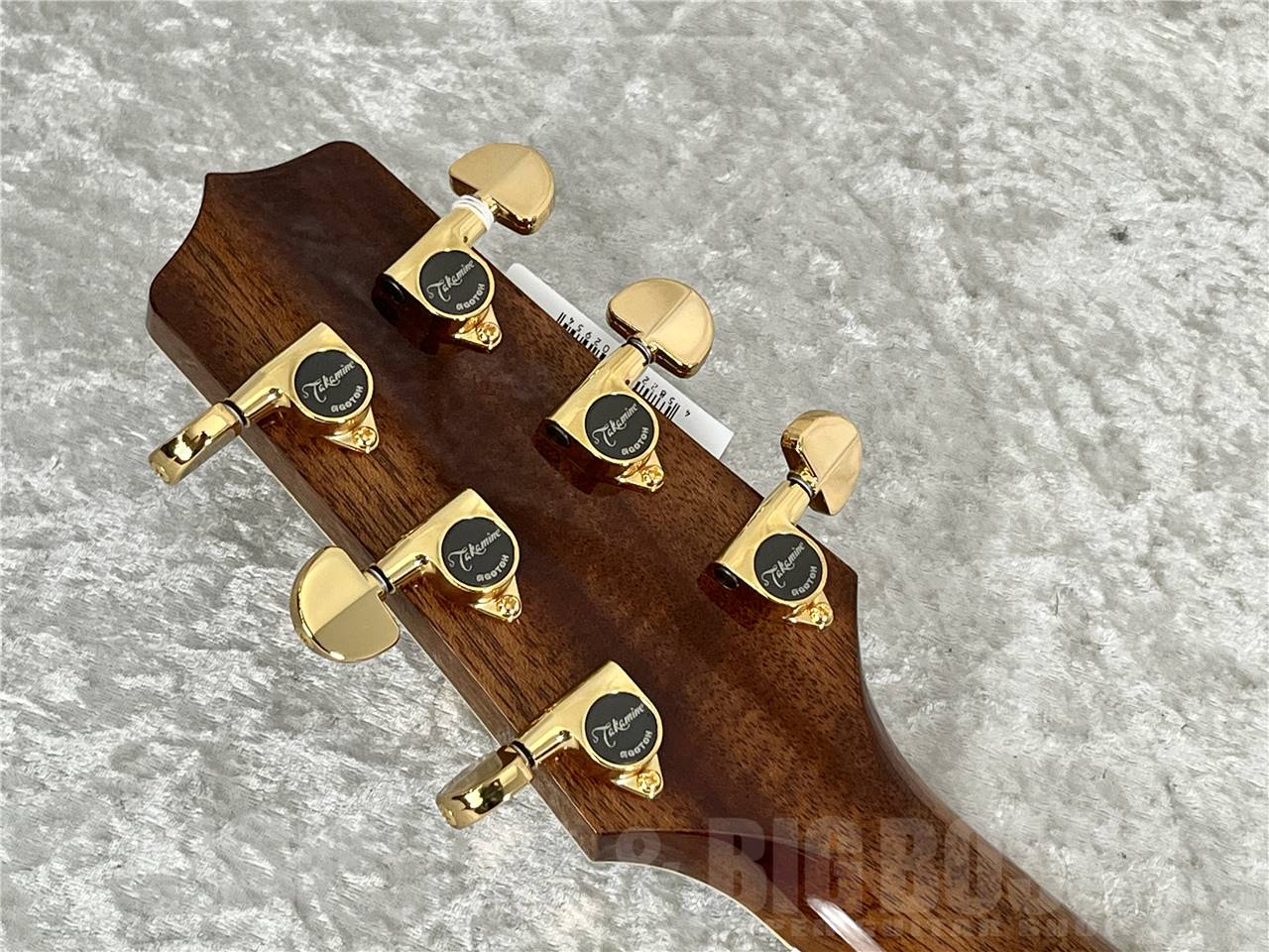 【即納可能】Takamine(タカミネ) PTU241C N (エレアコ) お茶の水駅前店・別館 - 9