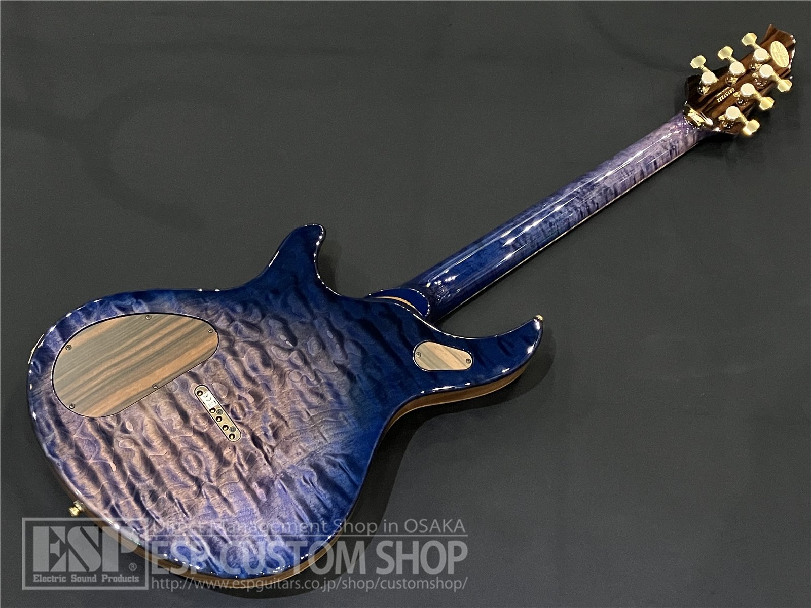 即納可能】ESP(イーエスピー) Exhibition Limited 2023 EX23-18