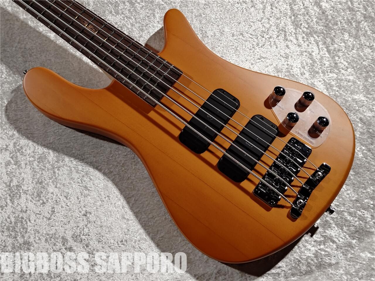 【即納可能/BigBonusFesta!!】Warwick (ワーウィック) Rock Bass Streamer Standard 5st (Honey Violin Transparent) 札幌店