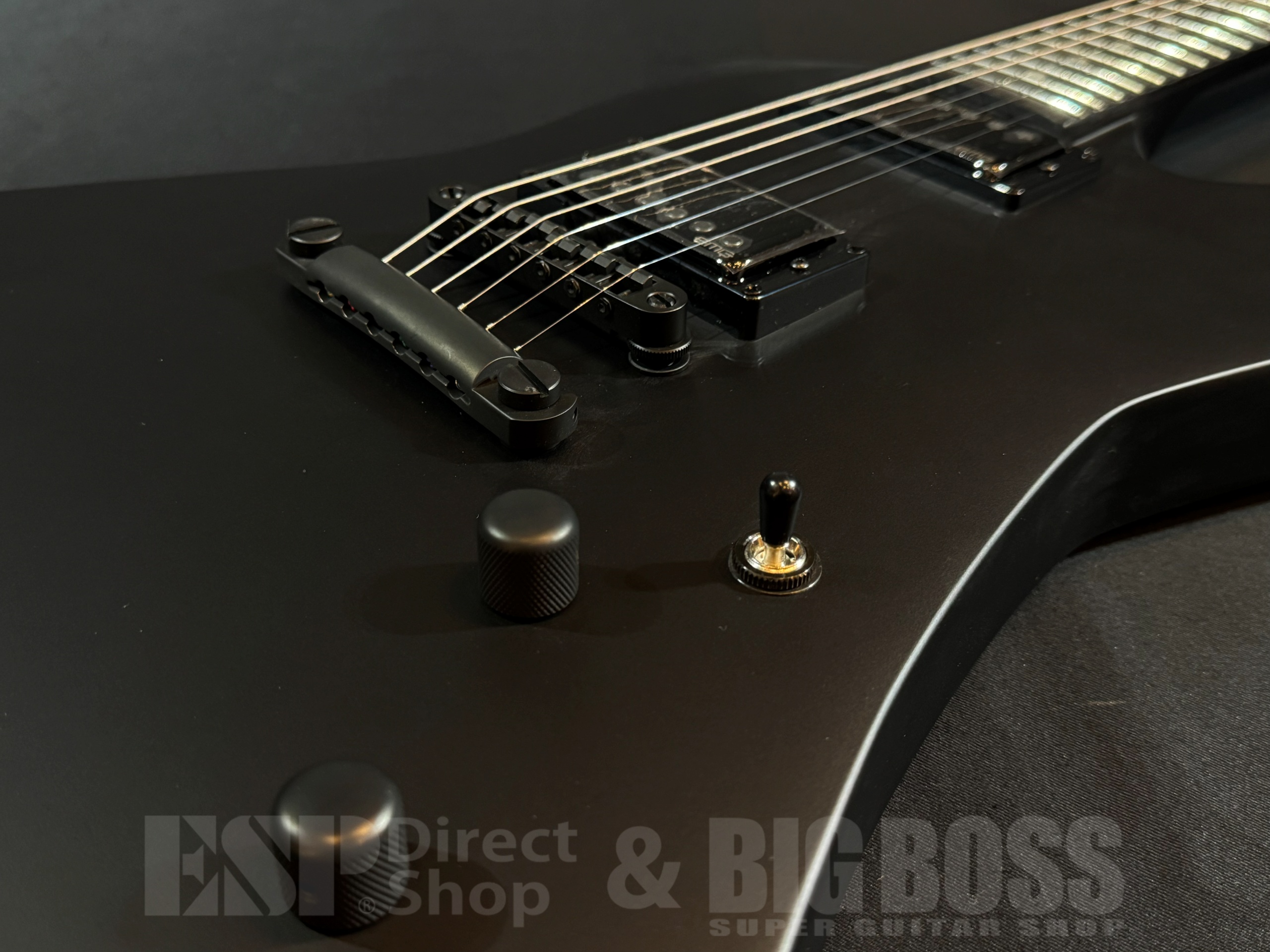 【即納可能】LTD (エルティーディー) SNAKEBYTE / Black Satin (METALLICA James Hetfield) 大阪店 - 3