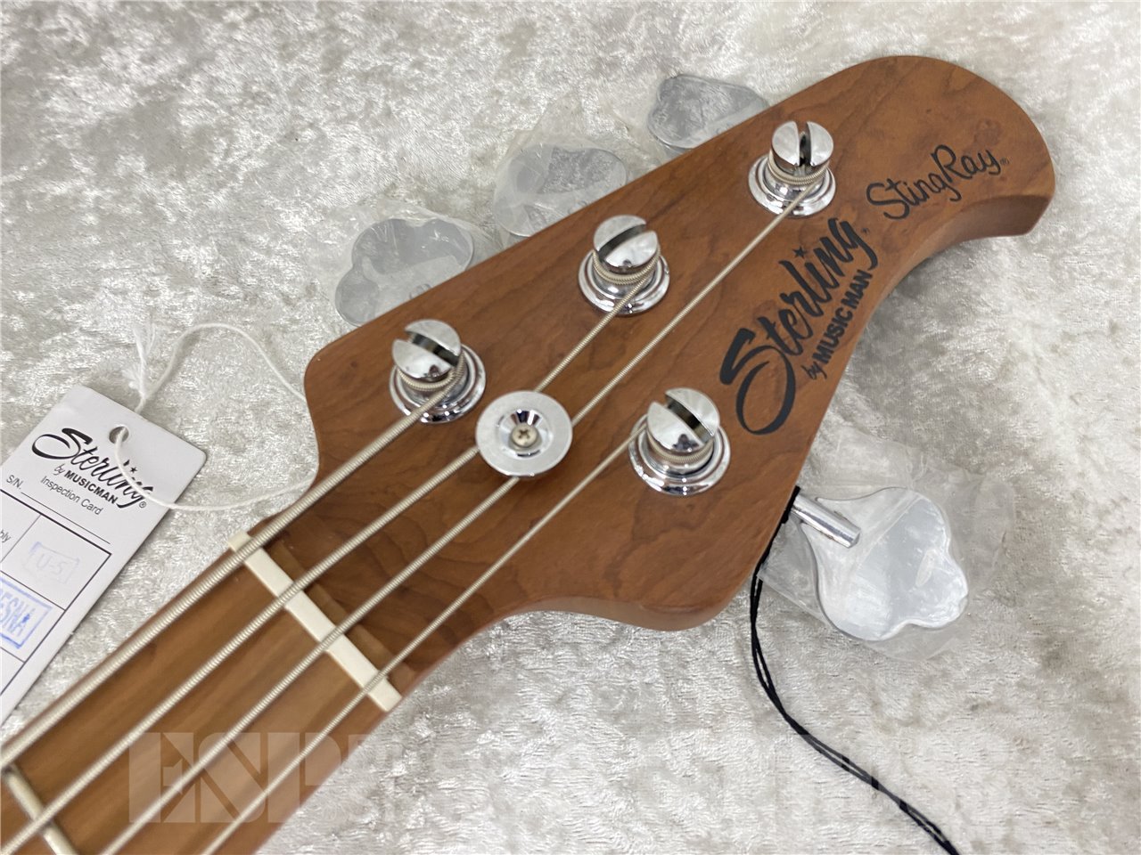【即納可能】Sterling by MUSIC MAN(スターリンバイミュージックマン) The StingRay RAY34 ASH (Natural) お茶の水駅前店(東京) - 5