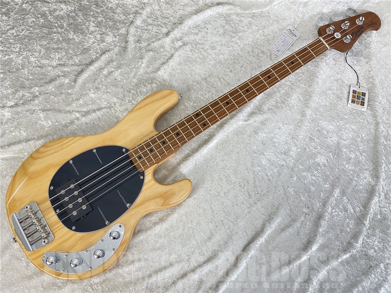 【即納可能】Sterling by MUSIC MAN(スターリンバイミュージックマン) The StingRay RAY34 ASH (Natural) お茶の水駅前店(東京) - 2