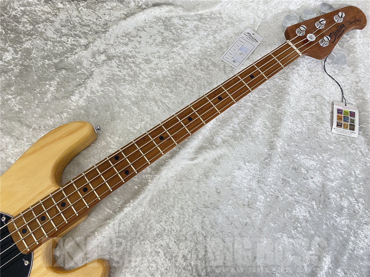 【即納可能】Sterling by MUSIC MAN(スターリンバイミュージックマン) The StingRay RAY34 ASH (Natural) お茶の水駅前店(東京) - 6