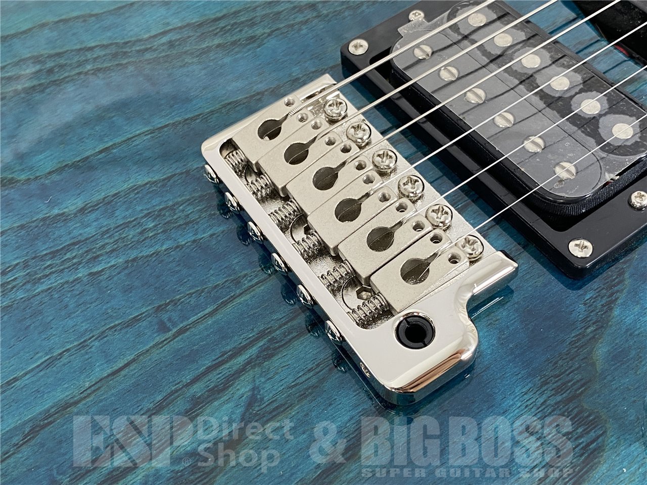 【即納可能】Paul Reed Smith(PRS/ポールリードスミス) SE SWAMP ASH SPECIAL (Iri Blue) お茶の水駅前店(東京) - 8