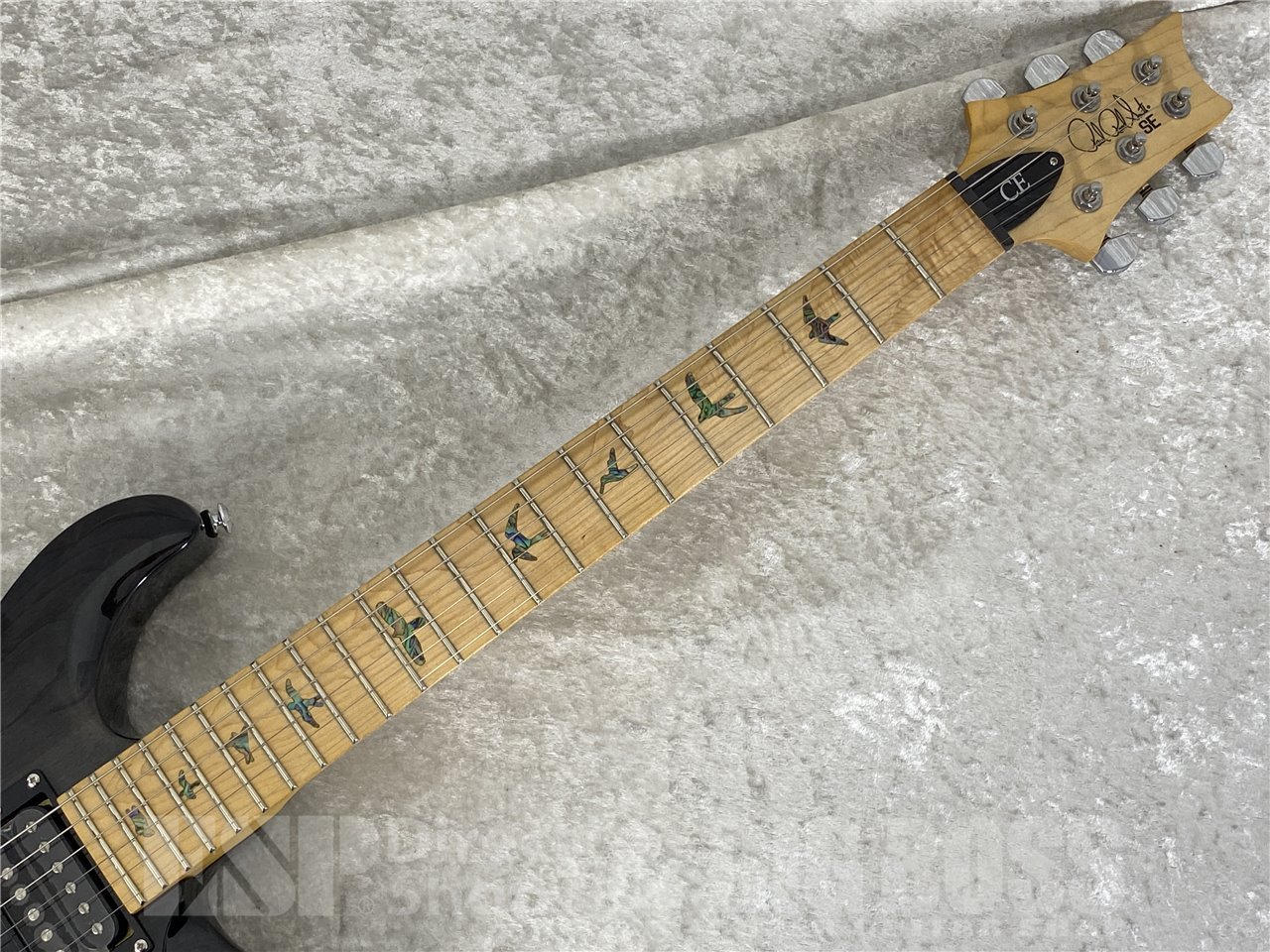 【即納可能】Paul Reed Smith(PRS/ポールリードスミス) SE SWAMP ASH SPECIAL (Charcoal) お茶の水駅前店(東京) - 6