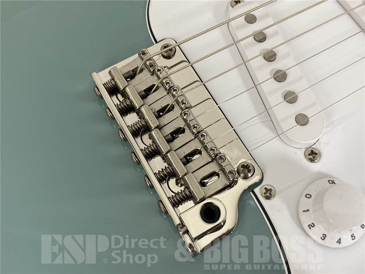 【即納可能】Paul Reed Smith(PRS/ポールリードスミス) SE SILVER SKY (Stone Blue) お茶の水駅前店(東京) - 8