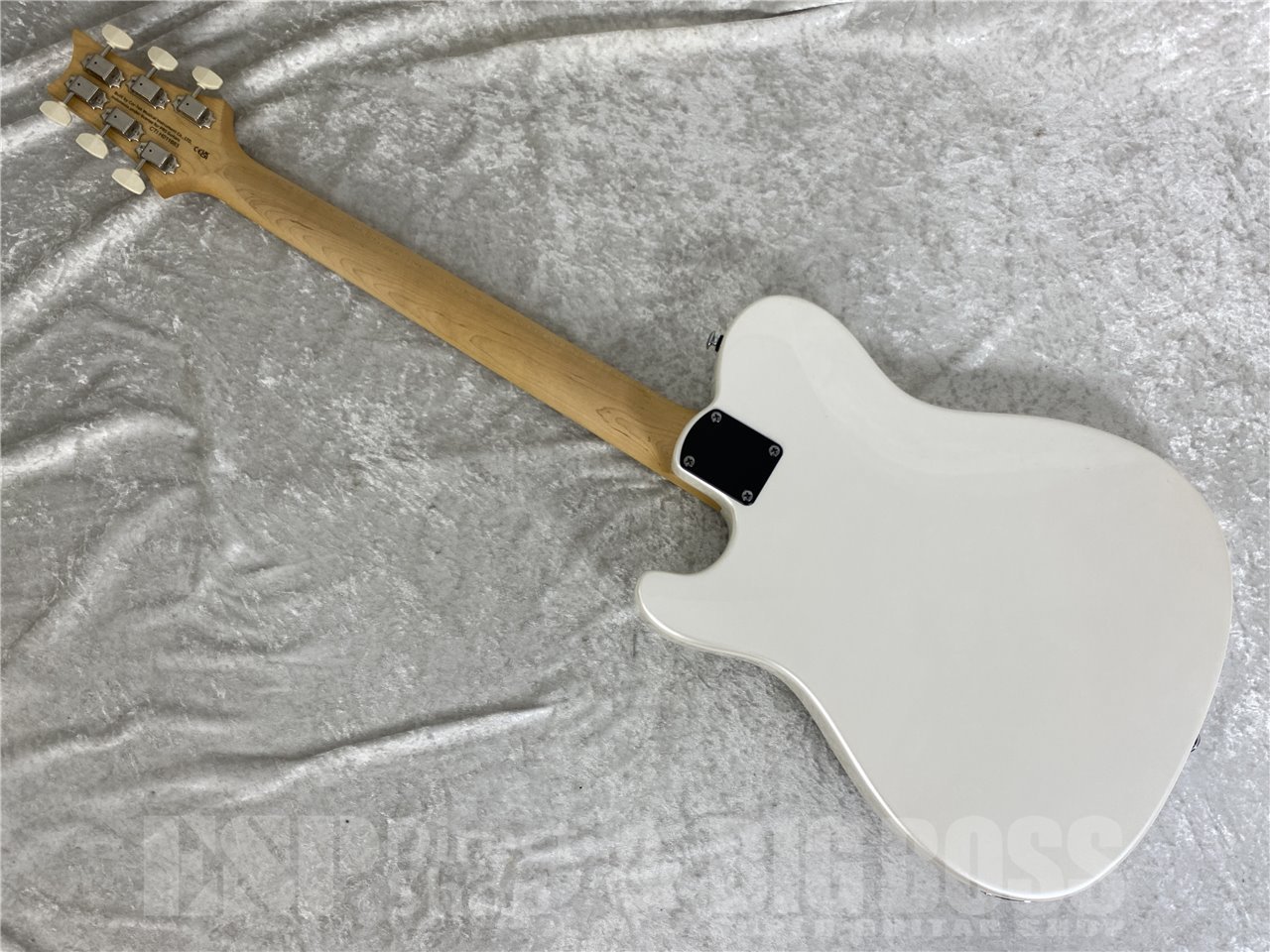 【即納可能】Paul Reed Smith  (ポールリードスミス/PRS) SE NF 53（Pearl White）お茶の水駅前店 (東京) - 10