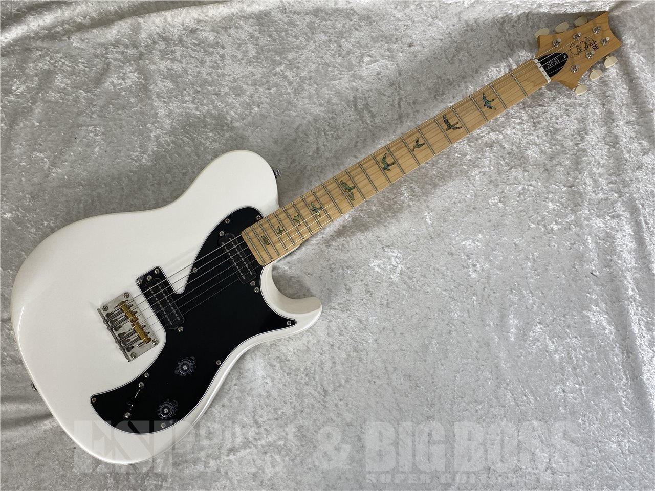 【即納可能】Paul Reed Smith  (ポールリードスミス/PRS) SE NF 53（Pearl White）お茶の水駅前店 (東京) - 2