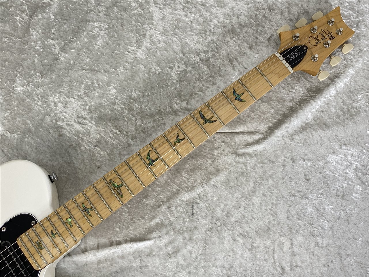 【即納可能】Paul Reed Smith  (ポールリードスミス/PRS) SE NF 53（Pearl White）お茶の水駅前店 (東京) - 6