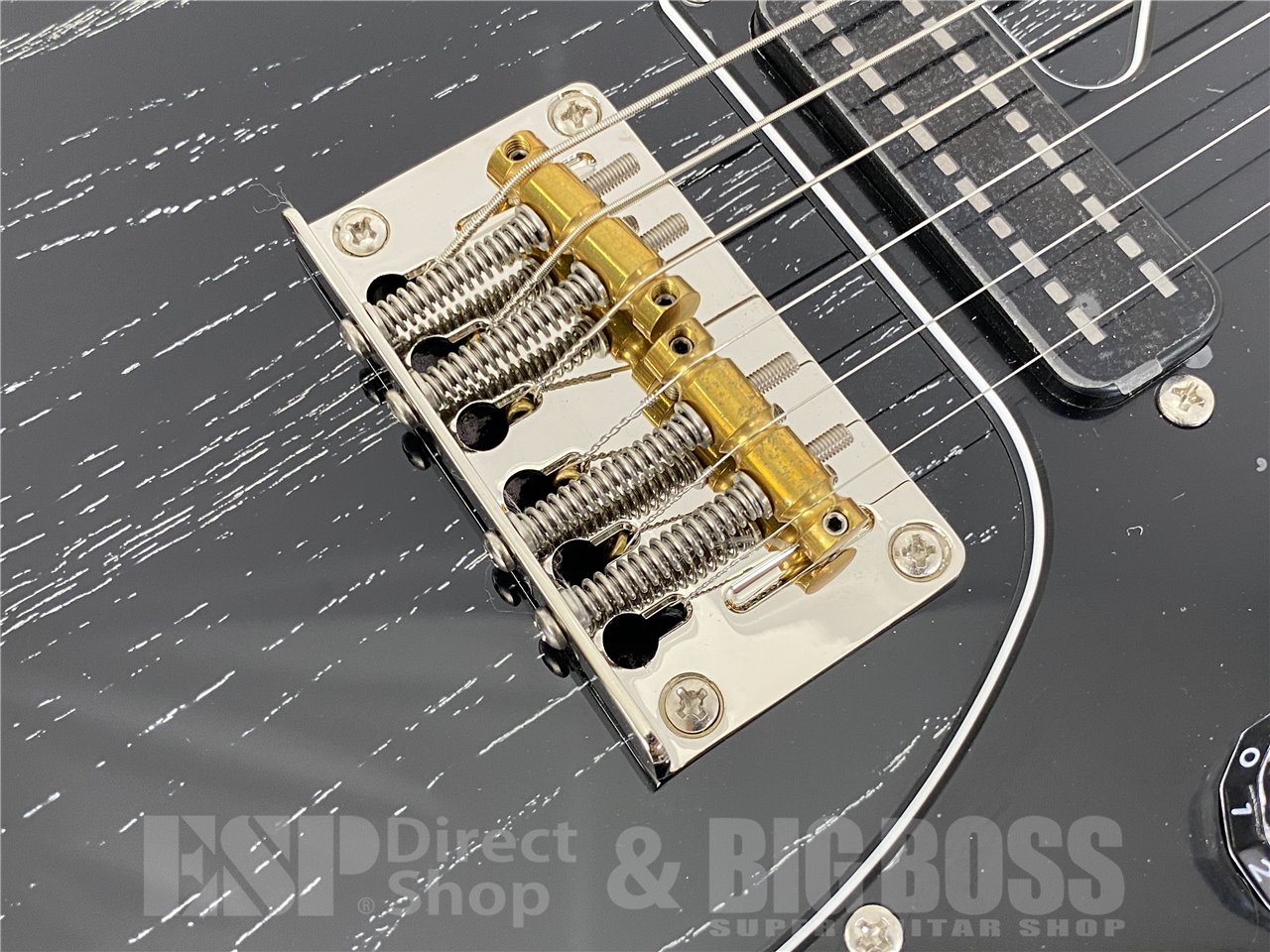 【即納可能】Paul Reed Smith (ポールリードスミス/PRS) SE NF 53(Black Doghair) お茶の水駅前店 (東京) - 8