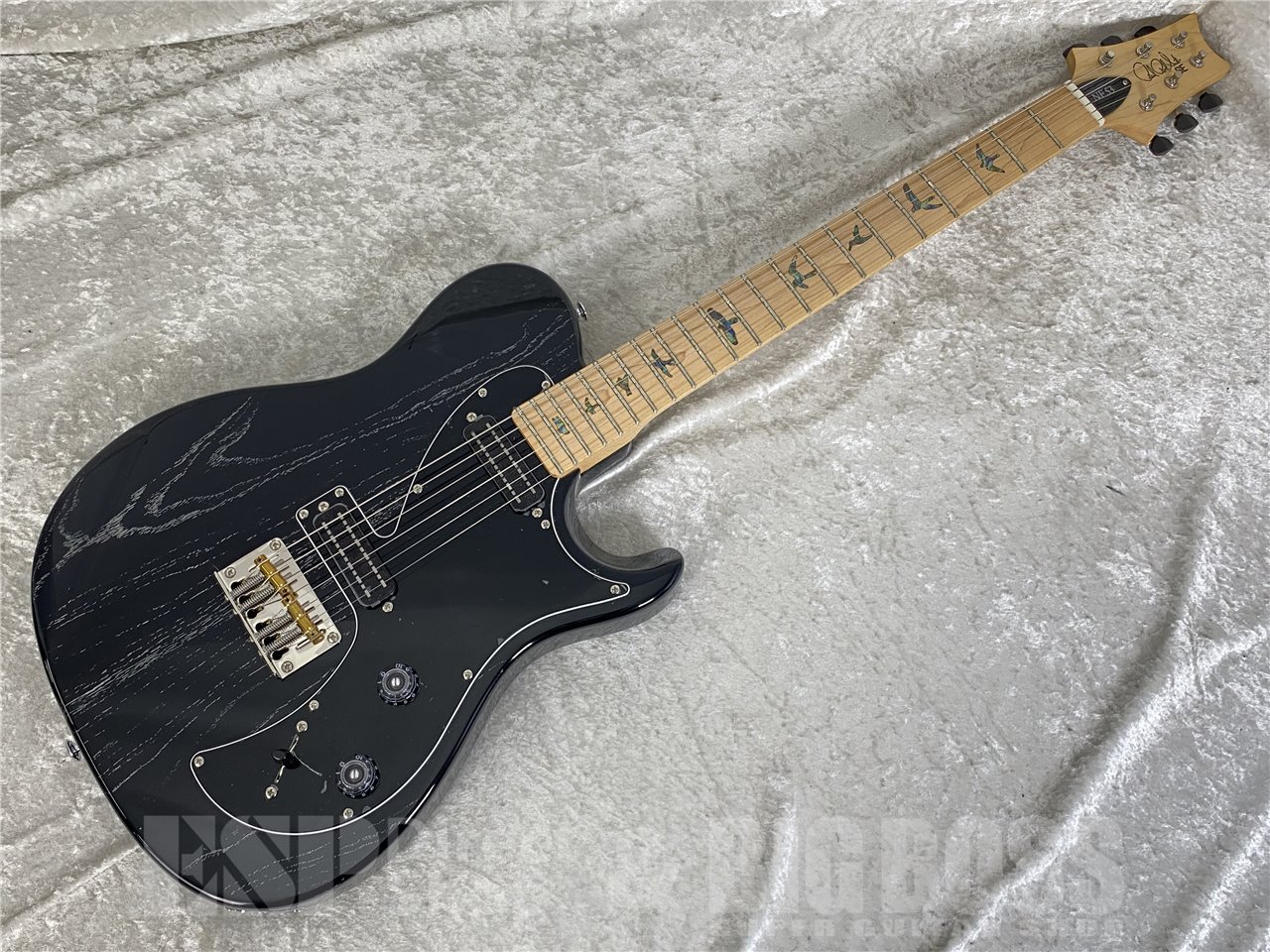 【即納可能】Paul Reed Smith  (ポールリードスミス/PRS) SE NF 53(Black Doghair) お茶の水駅前店 (東京)