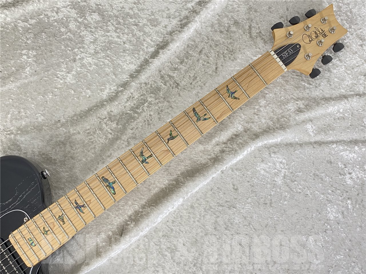 【即納可能】Paul Reed Smith (ポールリードスミス/PRS) SE NF 53(Black Doghair) お茶の水駅前店 (東京) - 6