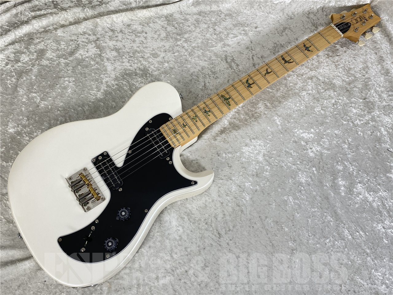 【即納可能】Paul Reed Smith  (ポールリードスミス/PRS) SE NF 53（Pearl White）お茶の水駅前店 (東京)