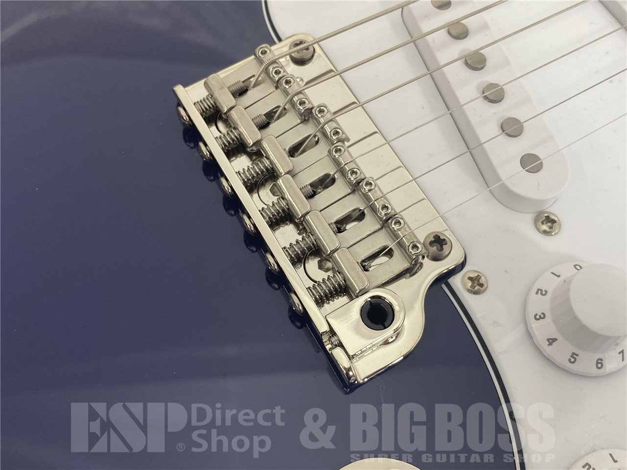 【即納可能】Paul Reed Smith(PRS/ポールリードスミス) SE SILVER SKY (Trad Blue) お茶の水駅前店(東京) - 8