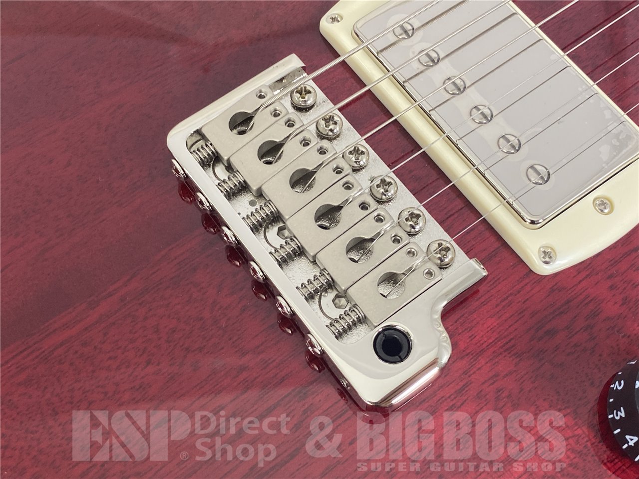 【即納可能】Paul Reed Smith(PRS/ポールリードスミス) SE DGT STANDARD (Vintage Cherry)お茶の水駅前店(東京) - 8